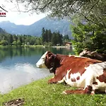 Апартаменты Lichtenstern