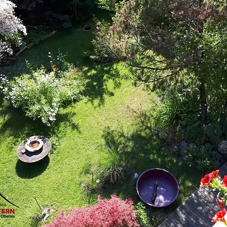 Lichtenstern אובראו